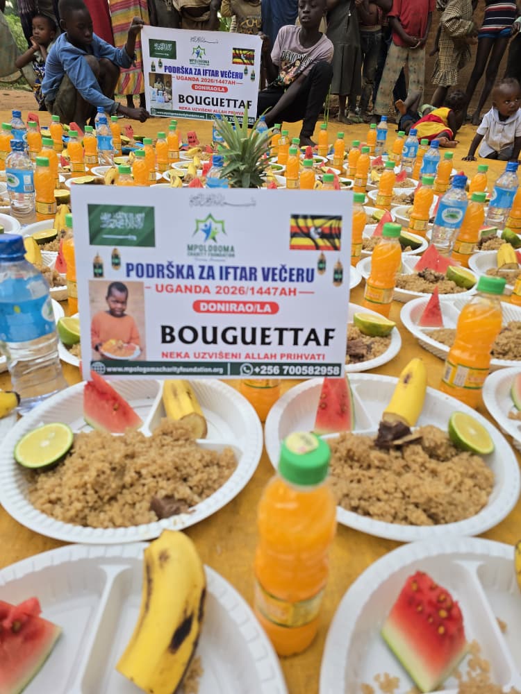 Feeding Project
