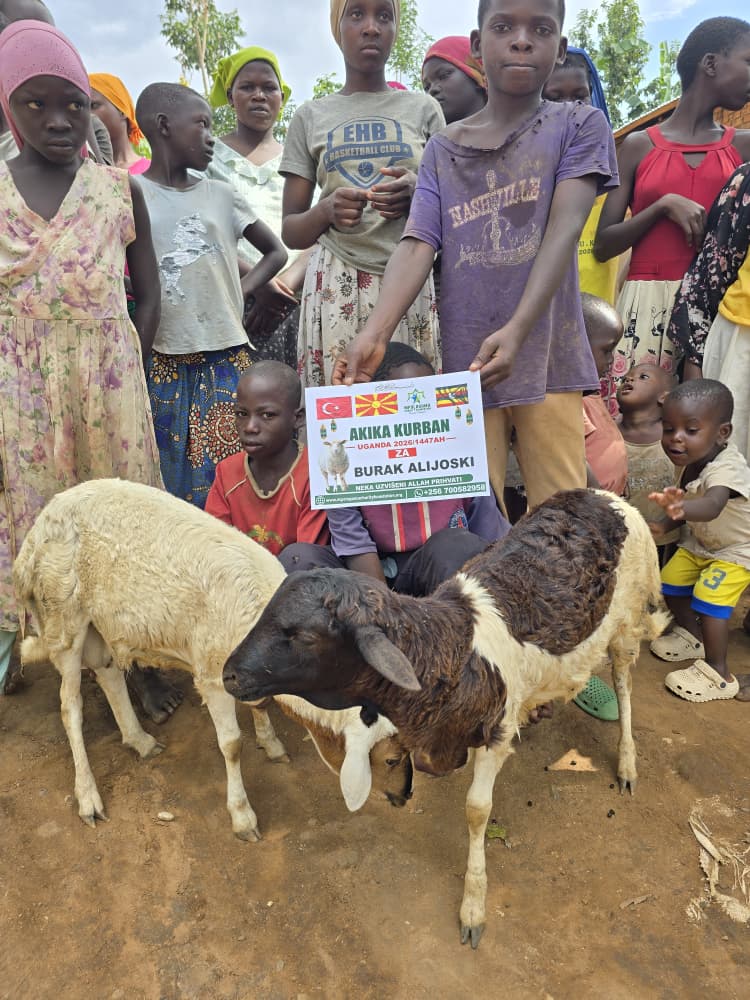 Qurban Distribution