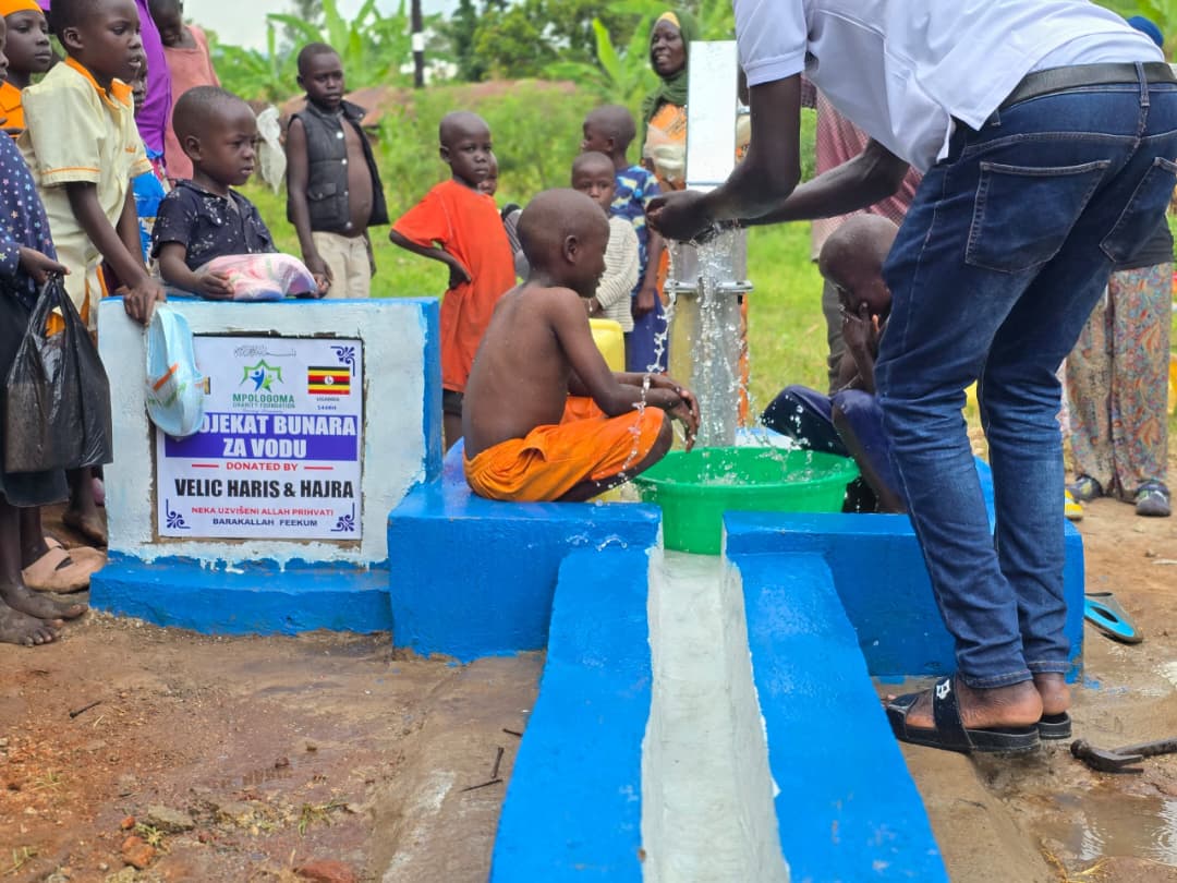 Water Well Project